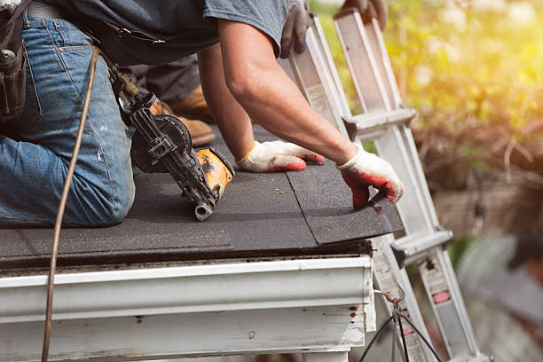 Best Gutter Installation and Roofing  in Storrs, CT